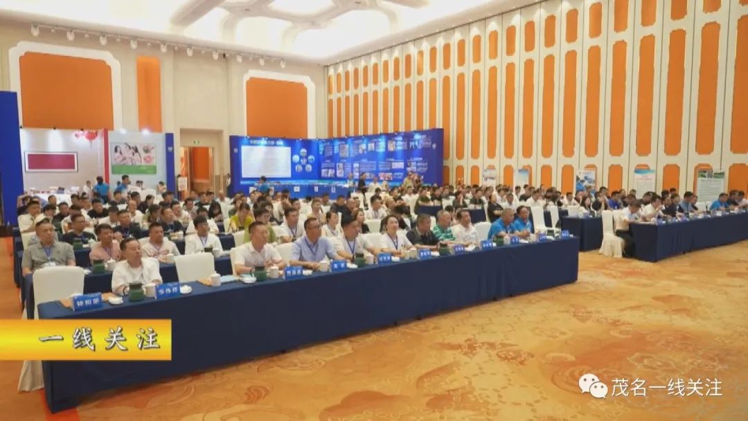 1729699024116959.jpg 1.jpg