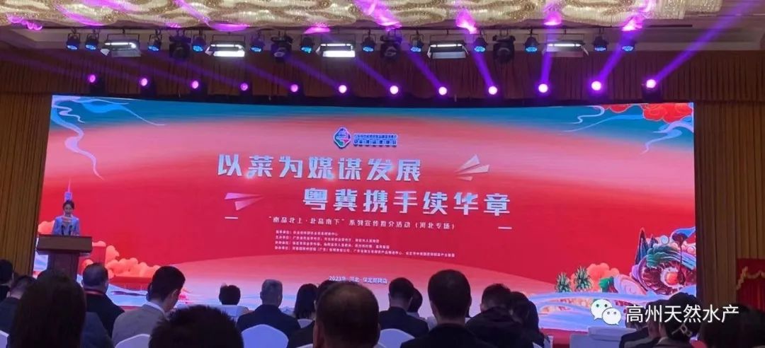 1729699540541102.jpg 14.jpg